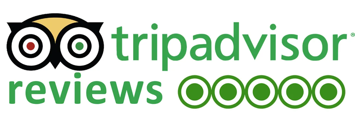 TripAdvisor Reviews